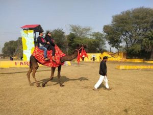 Zip Line, Sky Bike, Artificial Wall Climbing, Zorbing Roller, Running Bungee, Swimming Pool, Rain Dance, Pottery, Shooting, Archery, Multi Activity Net, Commando Net, Adventure Bridges, Cricket Ground, Volleyball Court, Basketball Court, Badminton Court, Football Ground, Table Tennis etc. All of these activities are included in the package at Rajwada Farms - An Ethinic Village, Sports, Picnic Ground & Adventure Park in Faridabad, one of the best adventure park in Delhi NCR