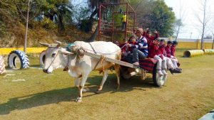 Zip Line, Sky Bike, Artificial Wall Climbing, Zorbing Roller, Running Bungee, Swimming Pool, Rain Dance, Pottery, Shooting, Archery, Multi Activity Net, Commando Net, Adventure Bridges, Cricket Ground, Volleyball Court, Basketball Court, Badminton Court, Football Ground, Table Tennis etc. All of these activities are included in the package at Rajwada Farms - An Ethinic Village, Sports, Picnic Ground & Adventure Park in Faridabad, one of the best adventure park in Delhi NCR
